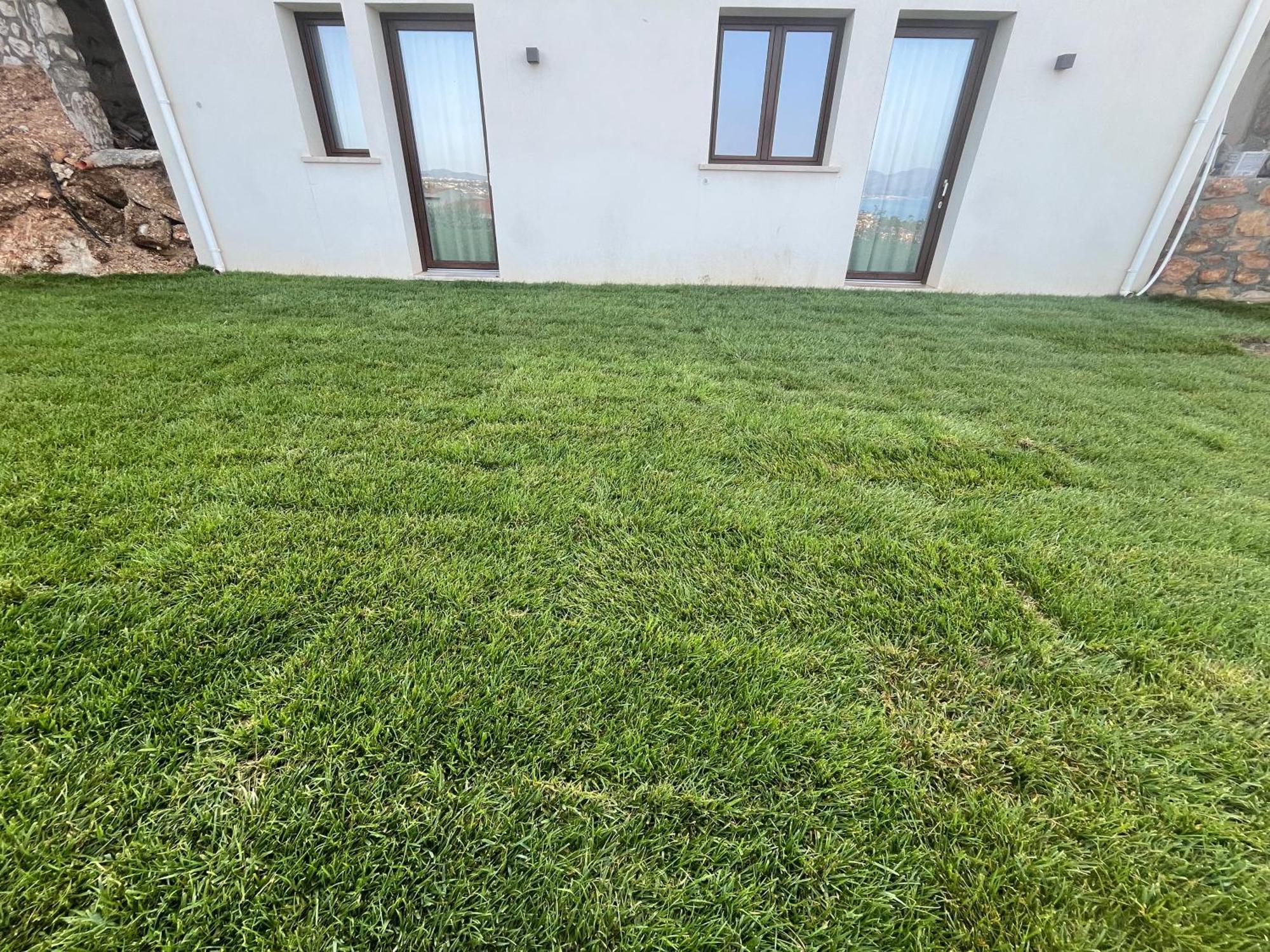 Tenuta Rapillo Кастеламаре дел Голфо Екстериор снимка